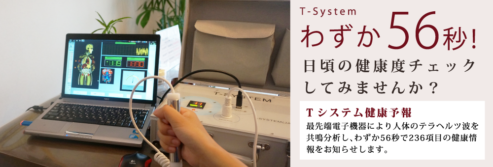 わずか56秒で健康度がチェックできるT-System